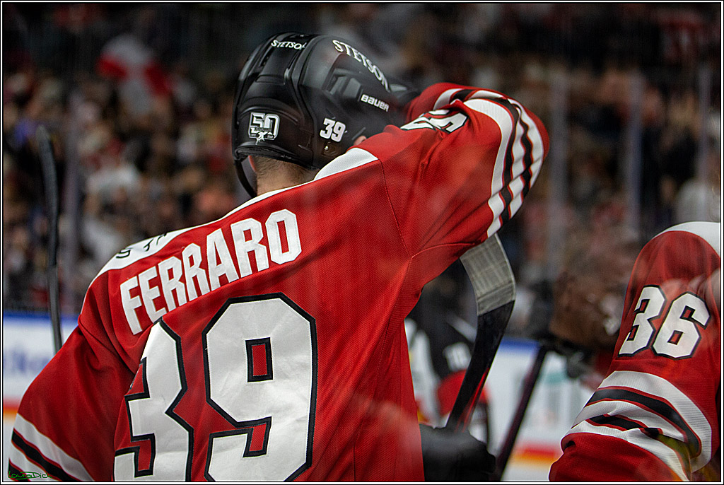 PENNY DEL; Koelner Haie- Loewen Frankfurt; Koeln, 01.12.2022